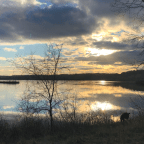 I’m not allowed to be sad