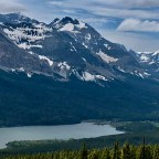 Hope and Frustration